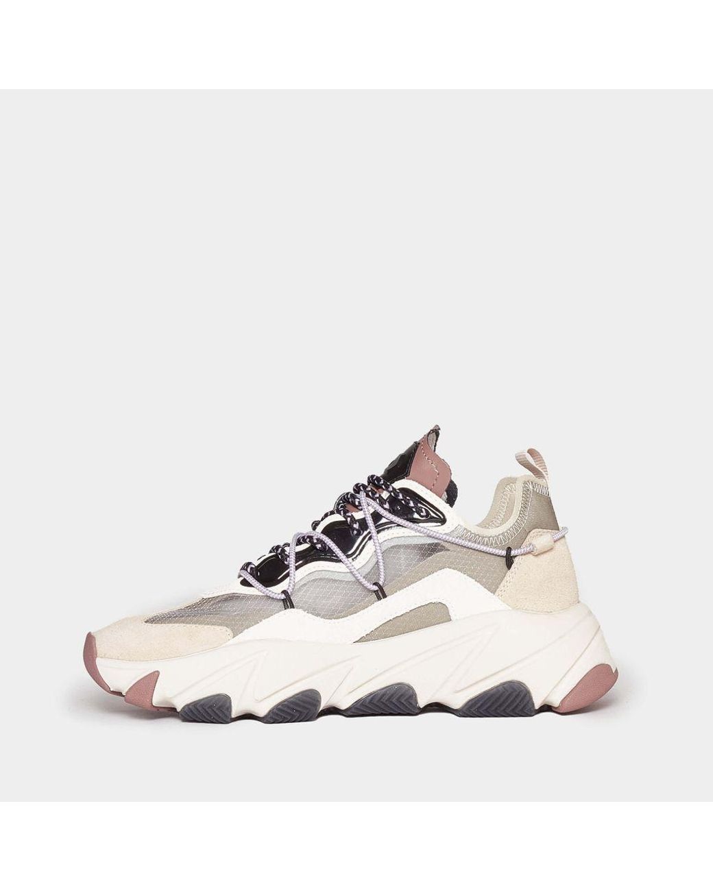 Ash Sneakers Extrabis In Camoscio Beige Con Dettagli Nero E Lilla in White  - Lyst