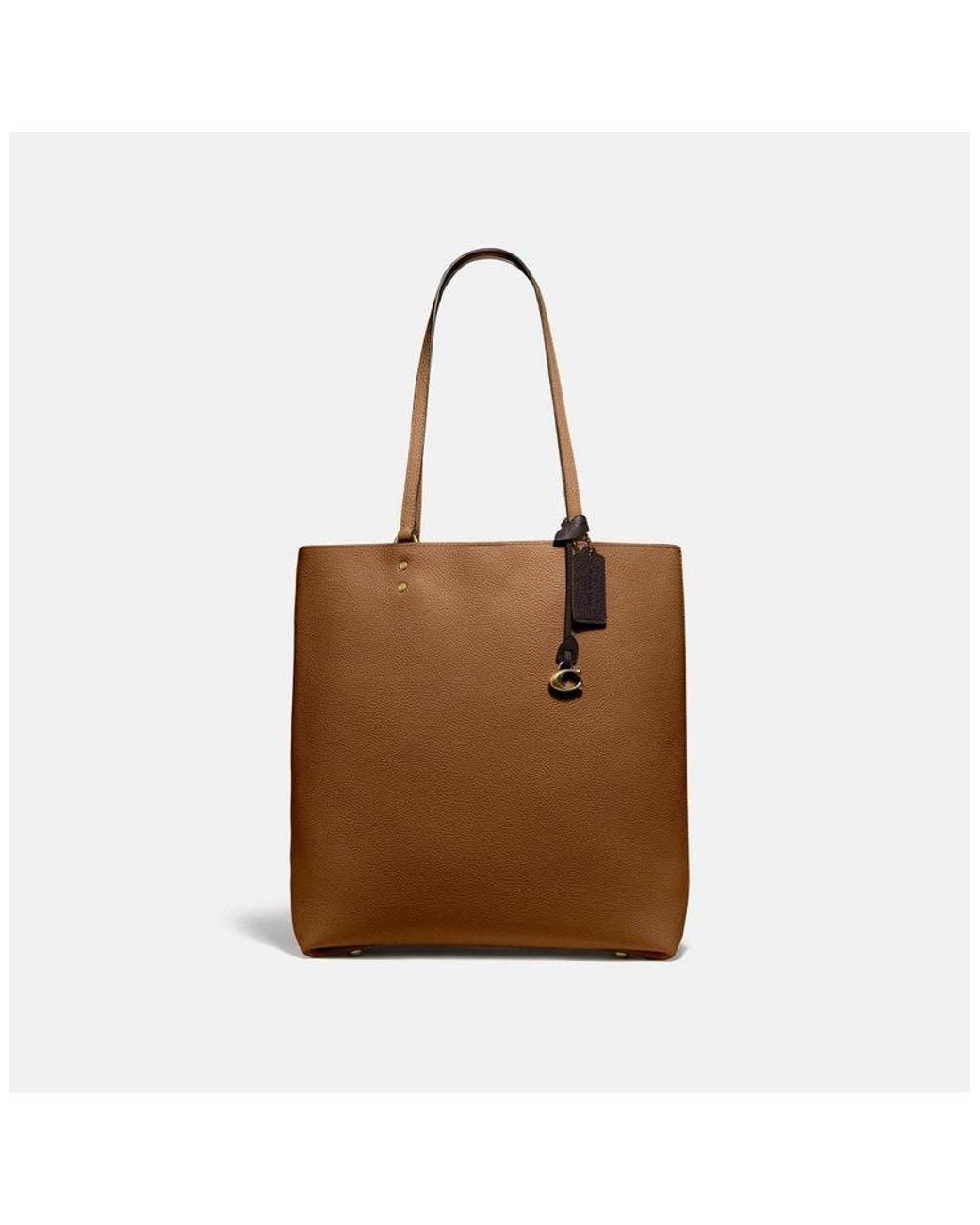 plaza tote coach