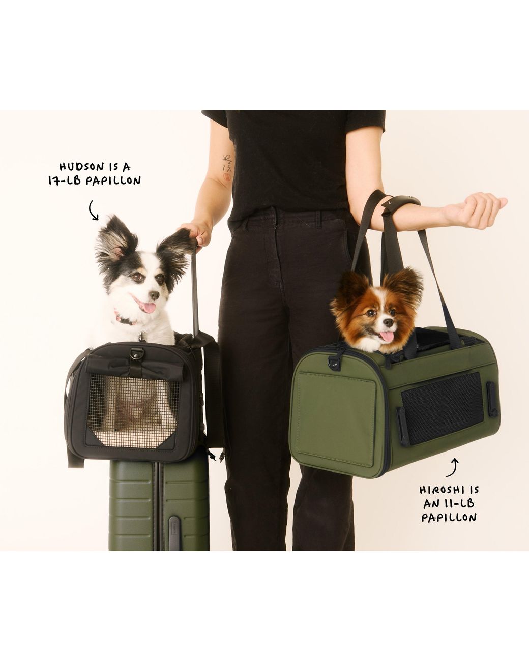 Away Travel Green The Pet Carrier