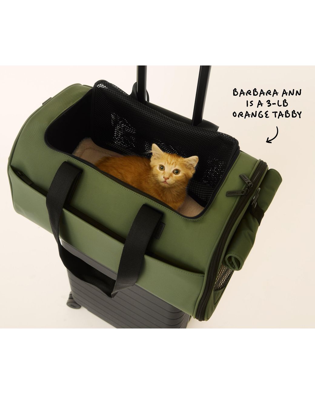 Away Travel Green The Pet Carrier