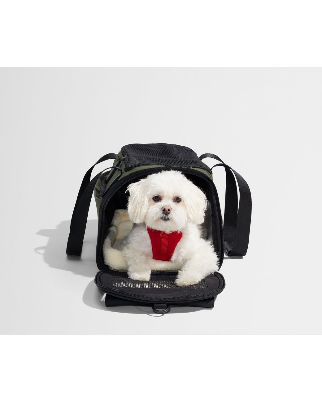 Away Travel Green The Pet Carrier