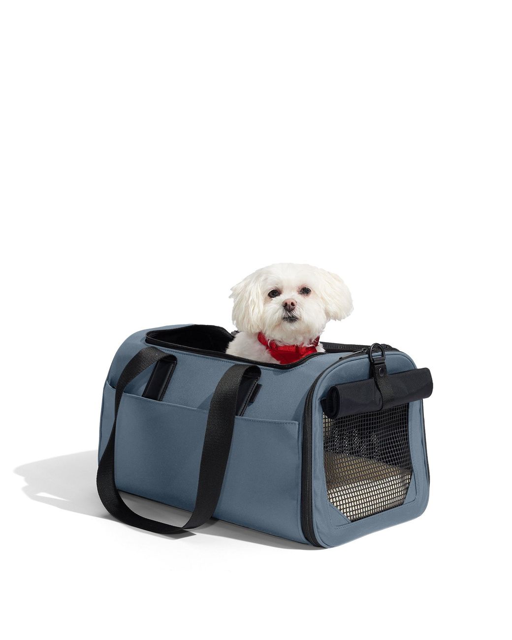 Away Travel Blue The Pet Carrier