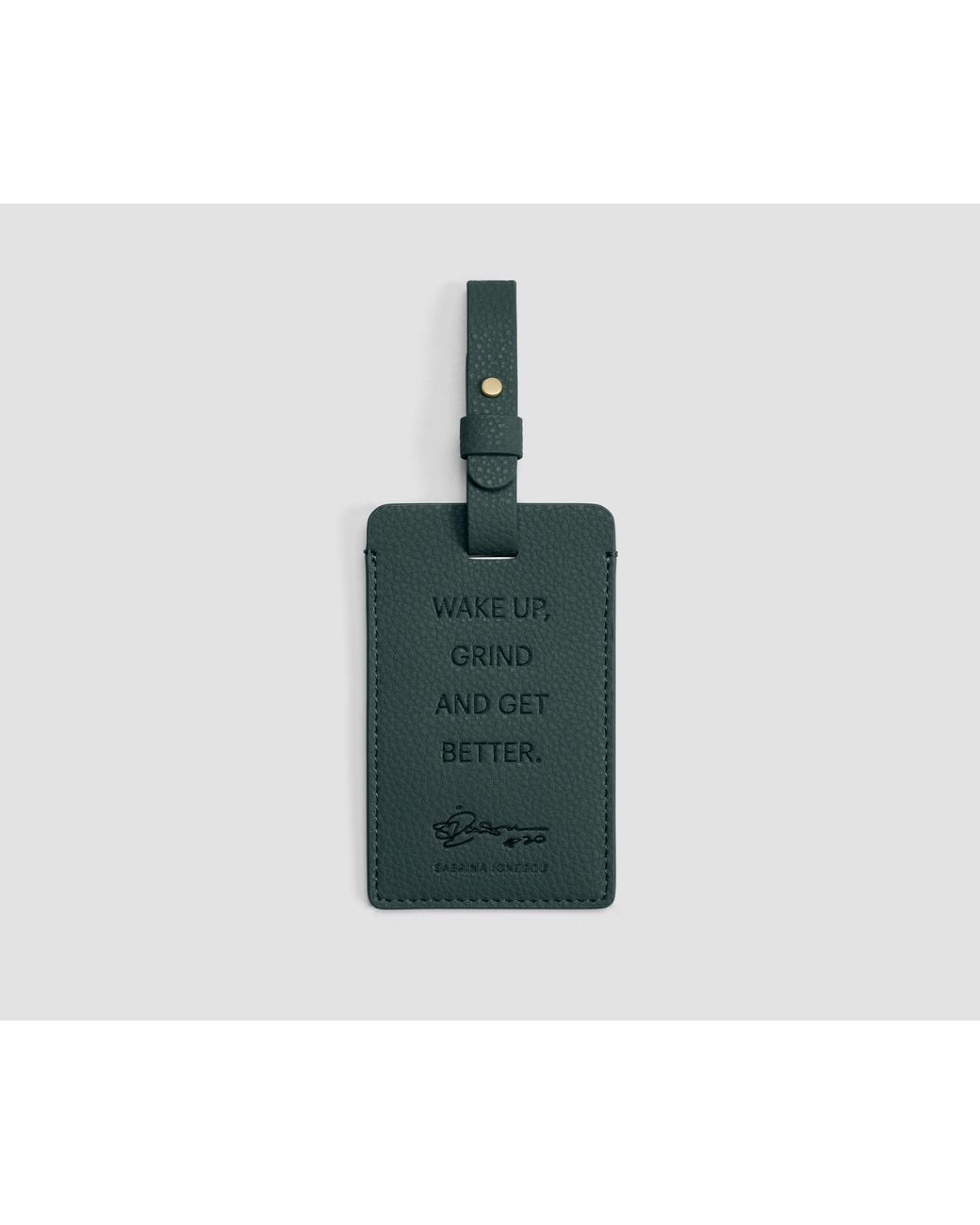 Away Travel Green The Aluminum Edge Bigger Carry-On