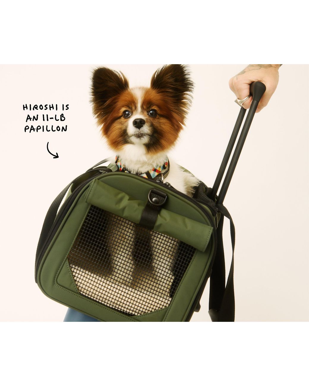 Away Travel Green The Pet Carrier