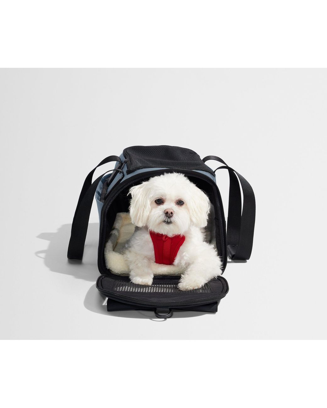 Away Travel Blue The Pet Carrier
