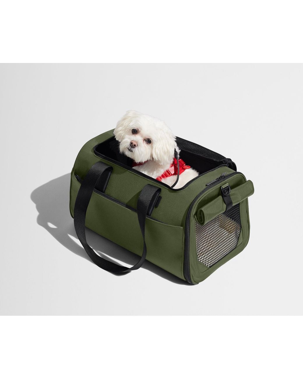 Away Travel Green The Pet Carrier
