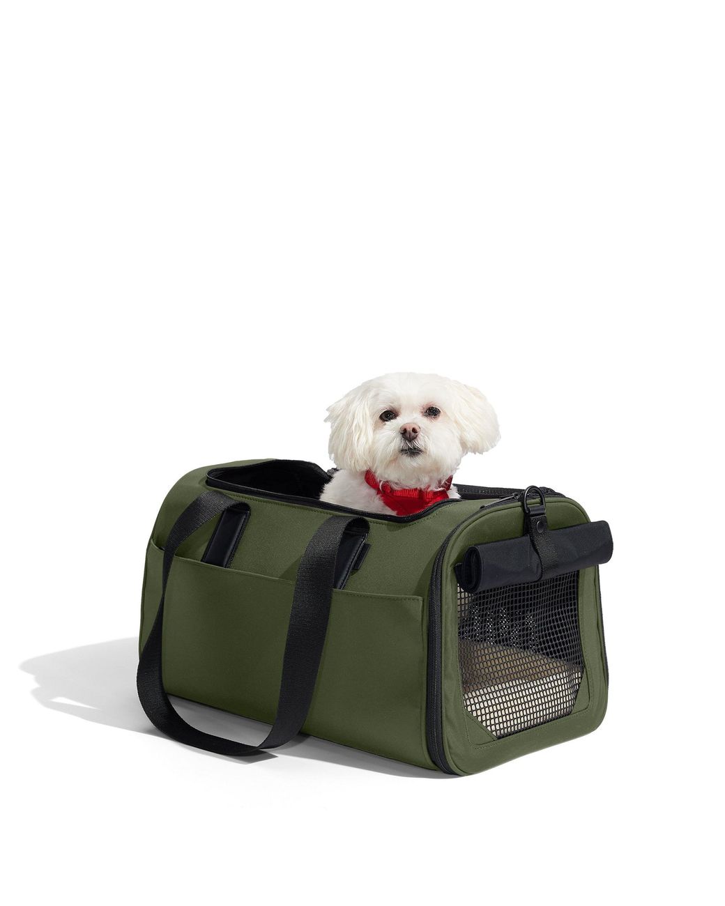 Away Travel Green The Pet Carrier