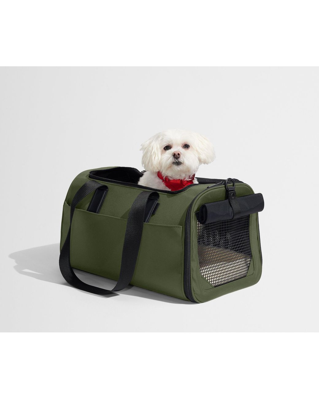 Away Travel Green The Pet Carrier
