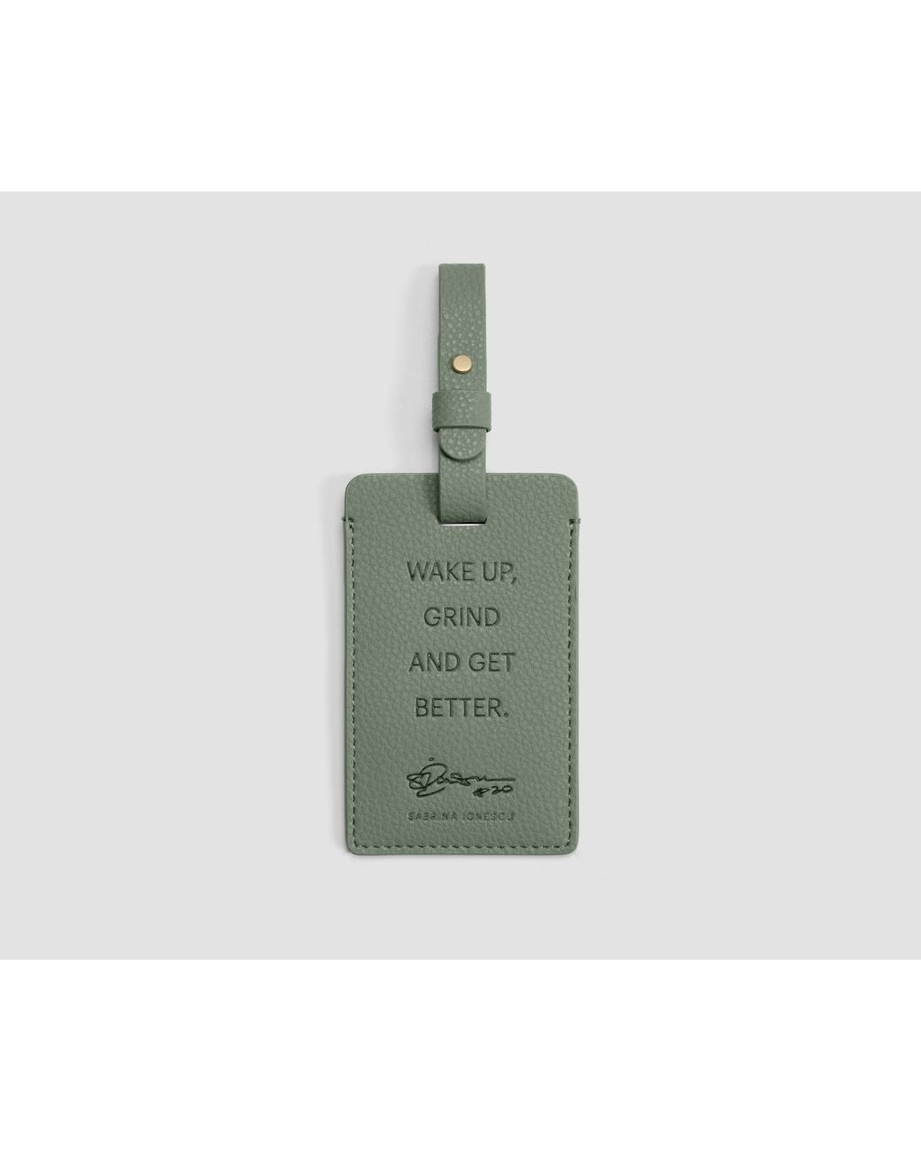 Away Travel Green The Aluminum Edge Trunk