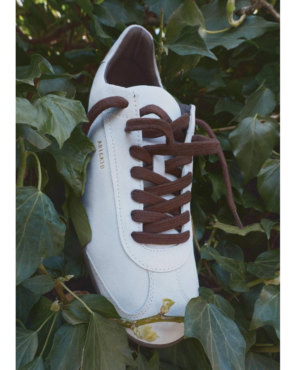 Axel Arigato Black Zane Sneaker for men