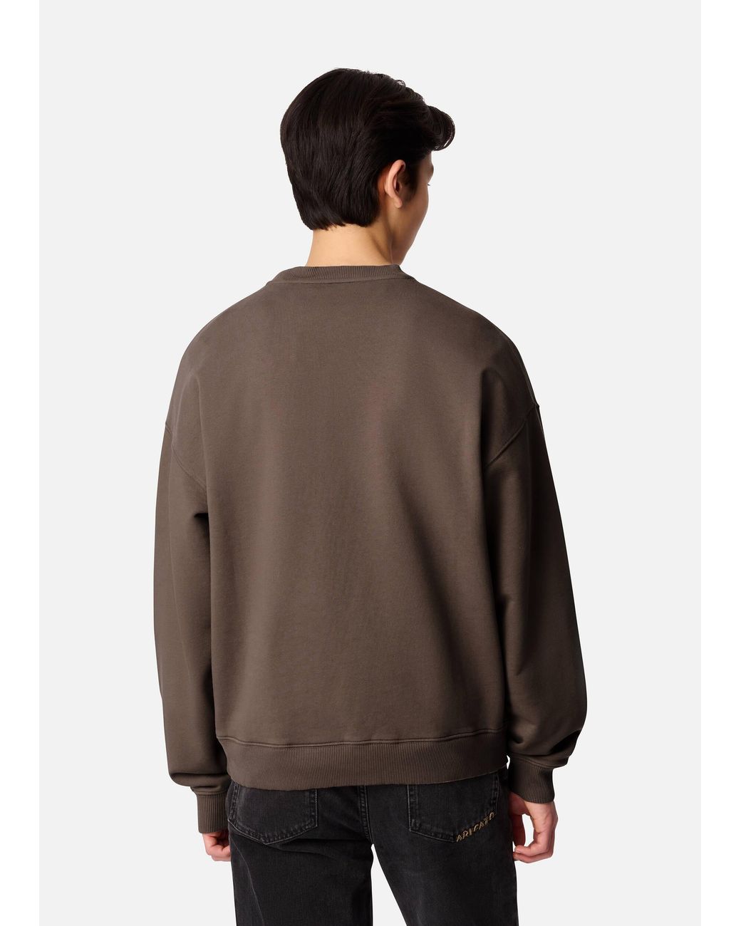 Axel Arigato Brown Micro Bee Bird Sweatshirt for men