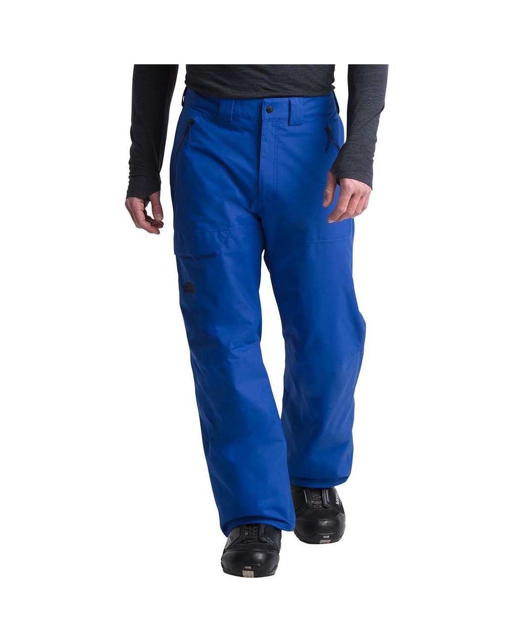 the north face men's seymore ski pants