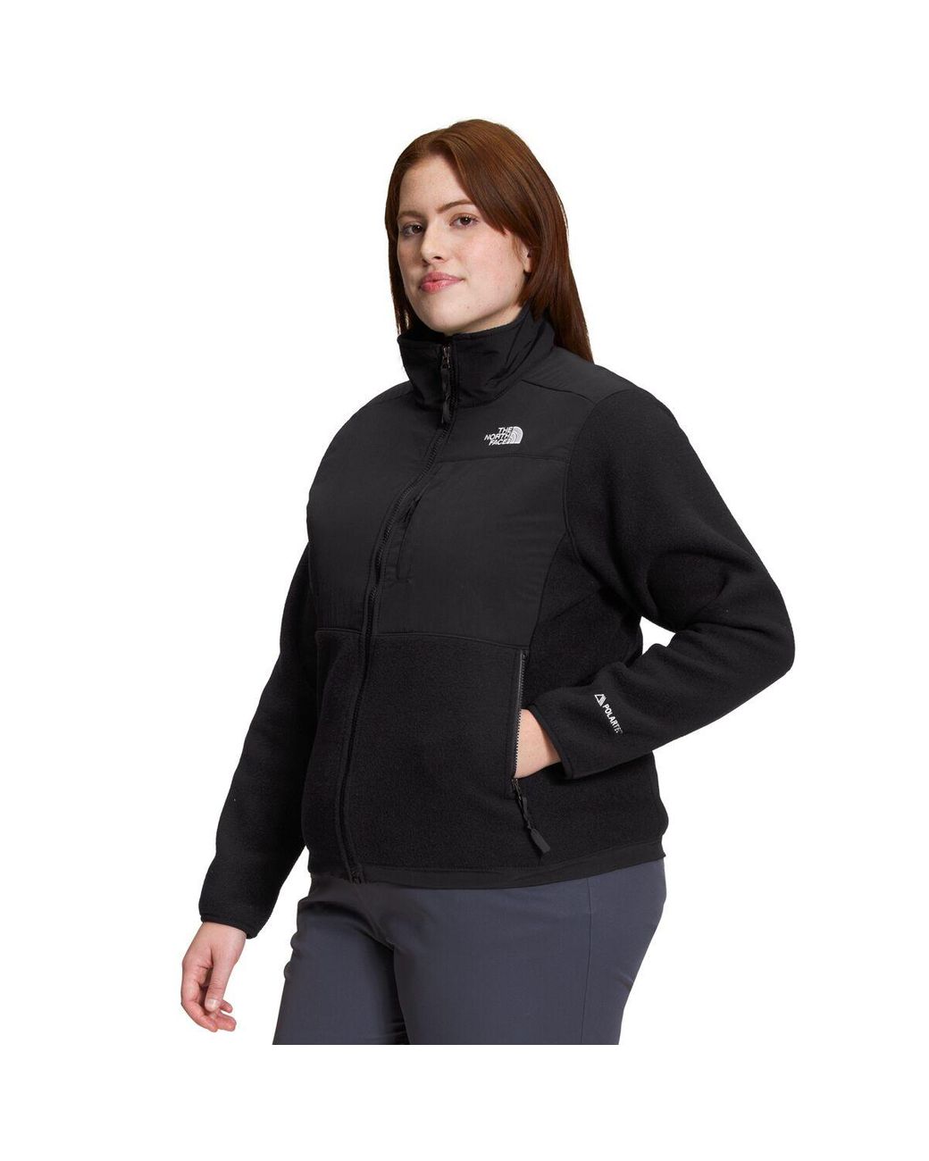 The North Face Denali Plus Jacket in Black