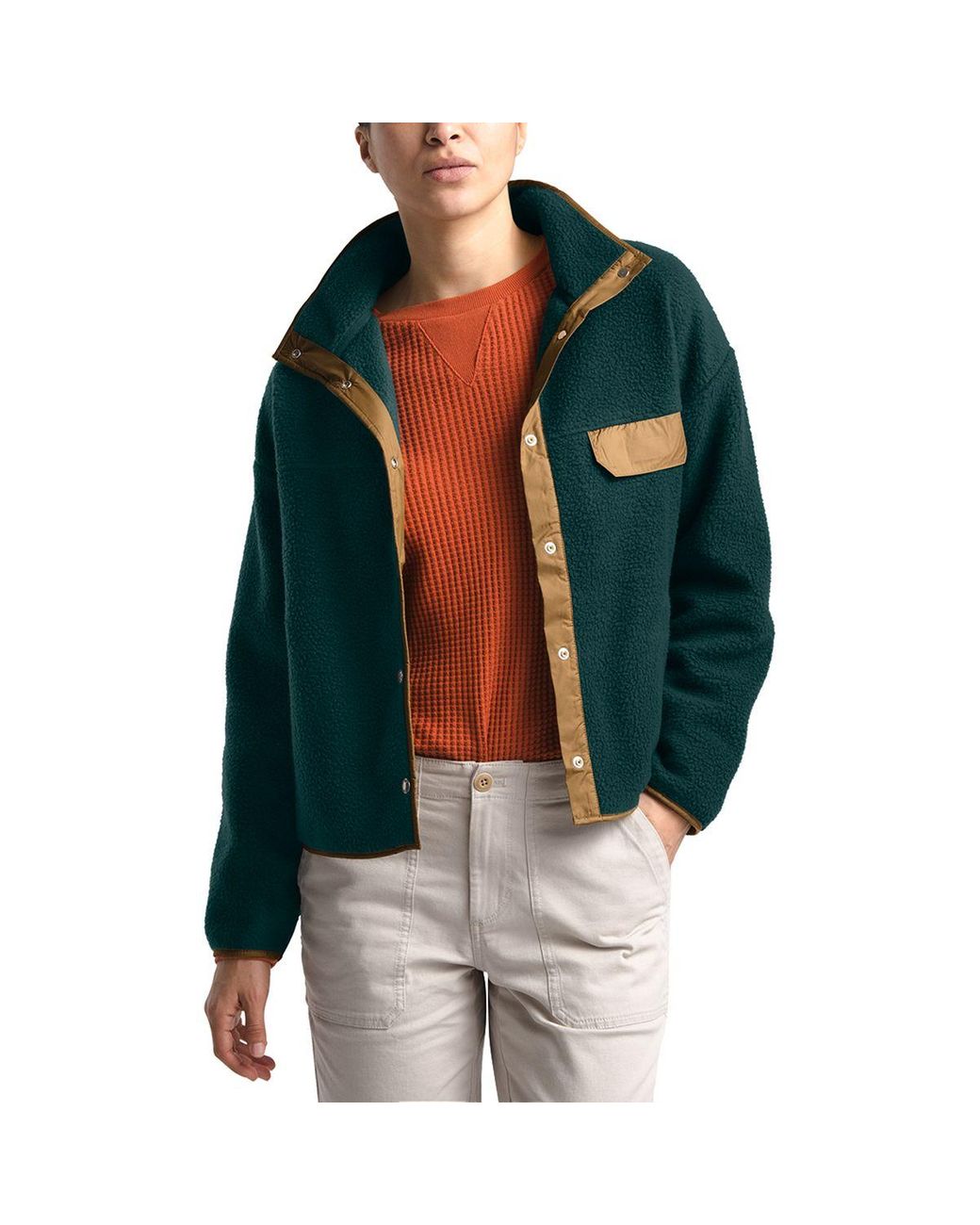 the north face cragmont fleece green