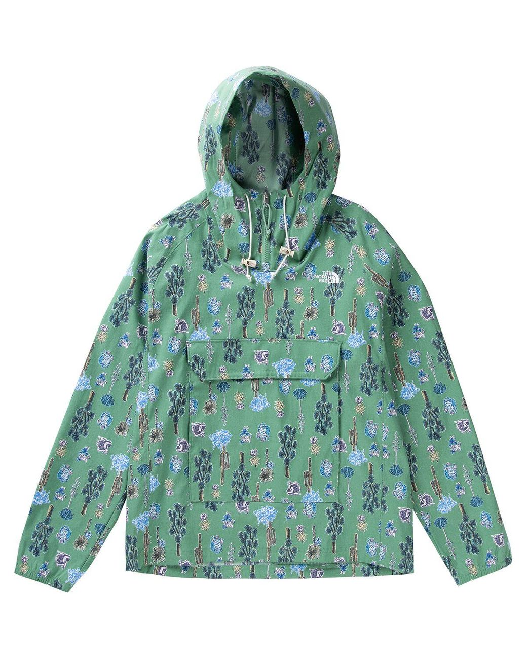 North face shop fanorak green