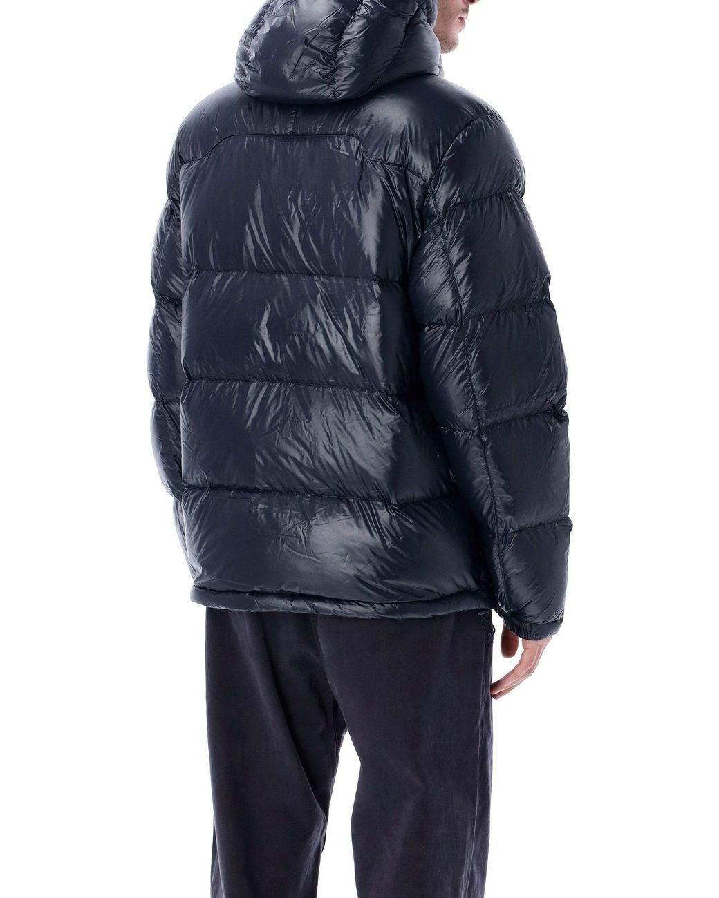 Polo Ralph Lauren Blue Coats