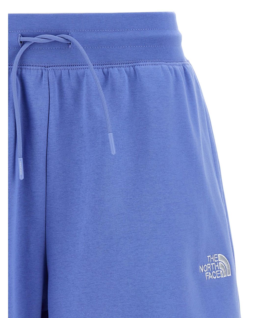 The North Face Blue Simple Dome Shorts