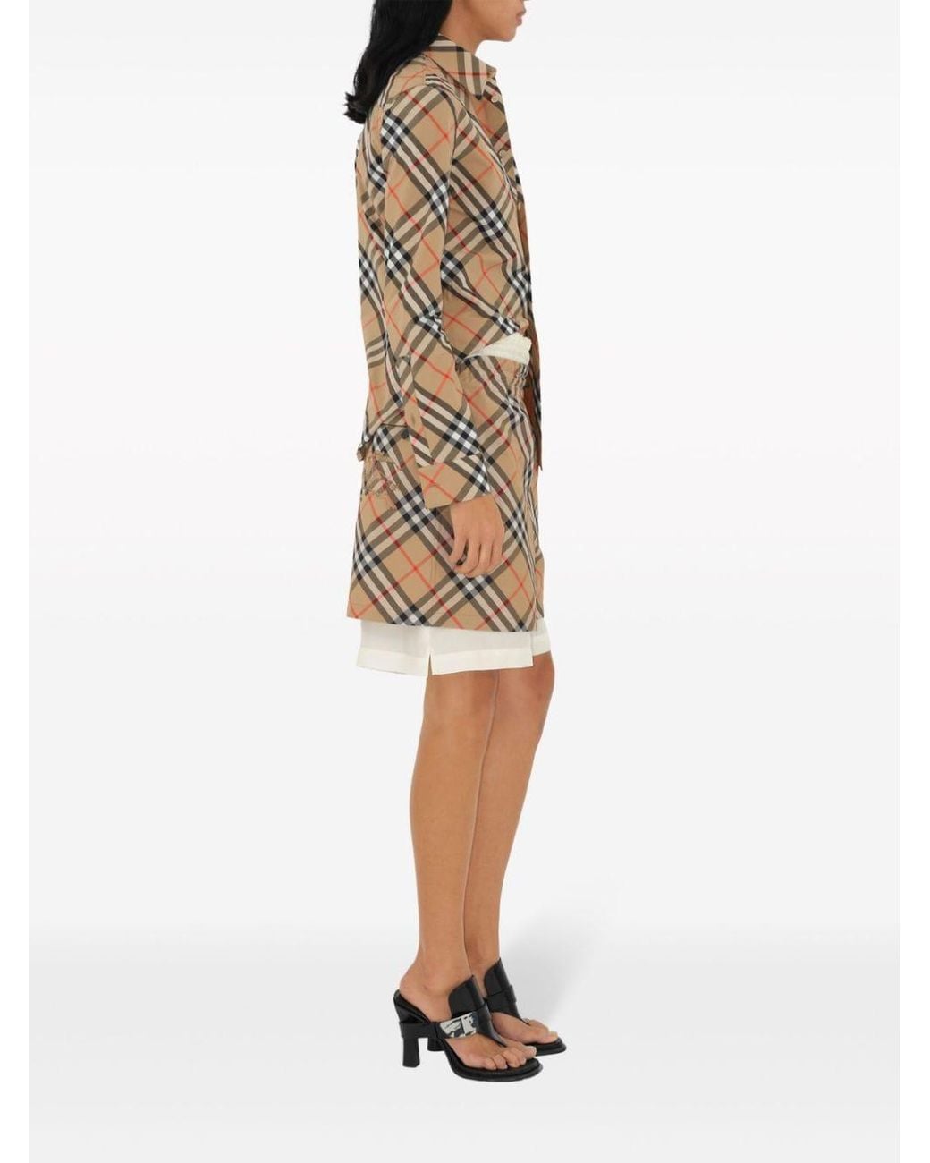 Burberry Brown Shirts