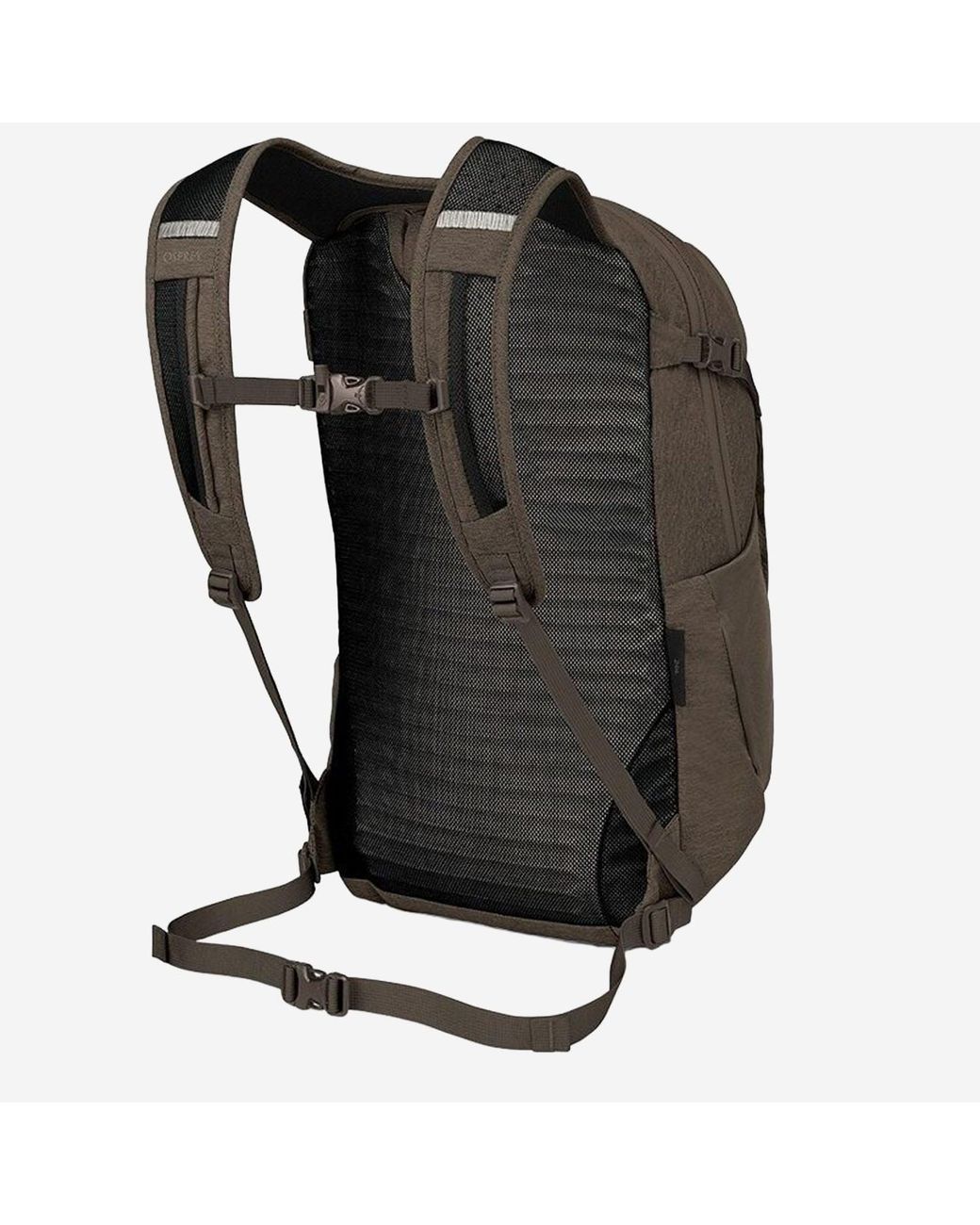 Osprey Brown Daylite Plus Backpack