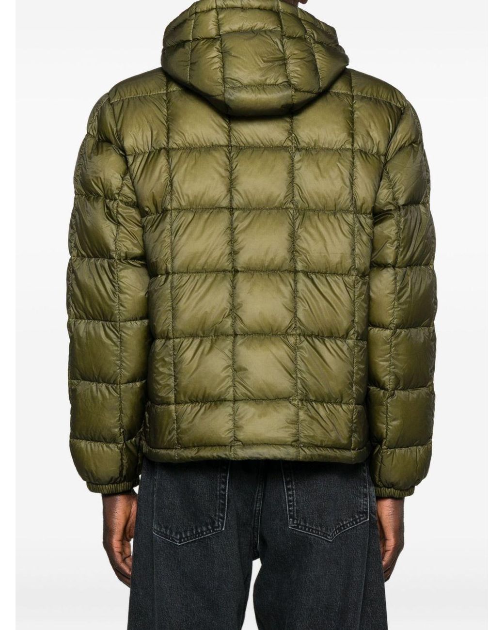 Stussy Green Stussy