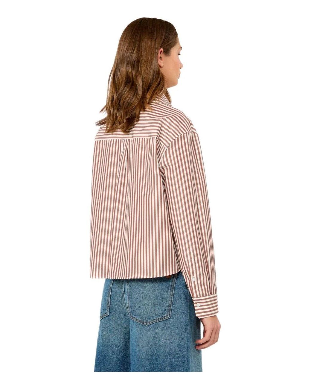 Weekend by Maxmara Brown Panetto And Striped Shirt