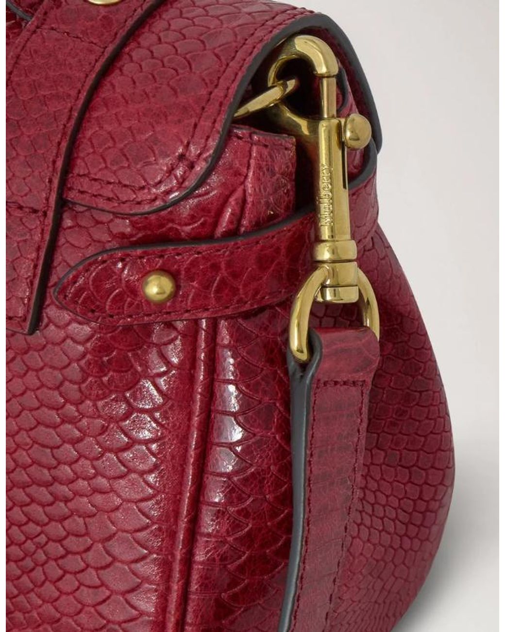 Mulberry Red Mini Alexa Waxed Snake Print