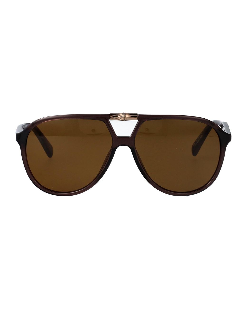 Longchamp Brown Transparent Injected Sunglasses