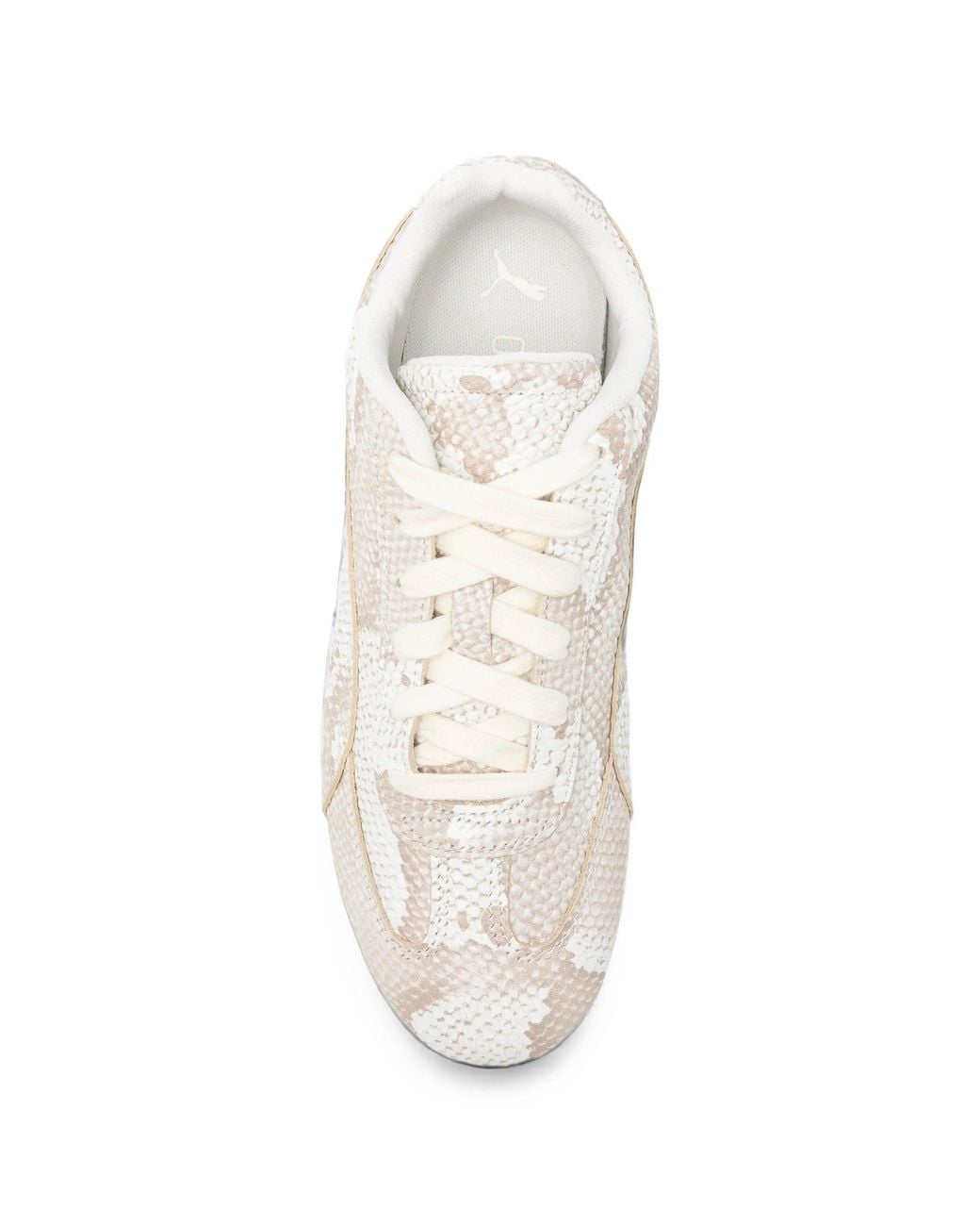 PUMA White Das ist eine Speedcat Snake.