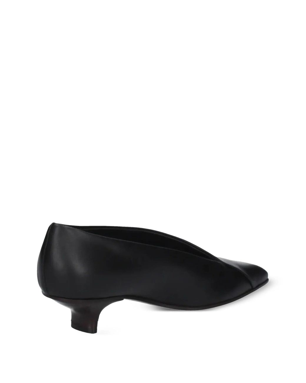 Vicini Black Carpa