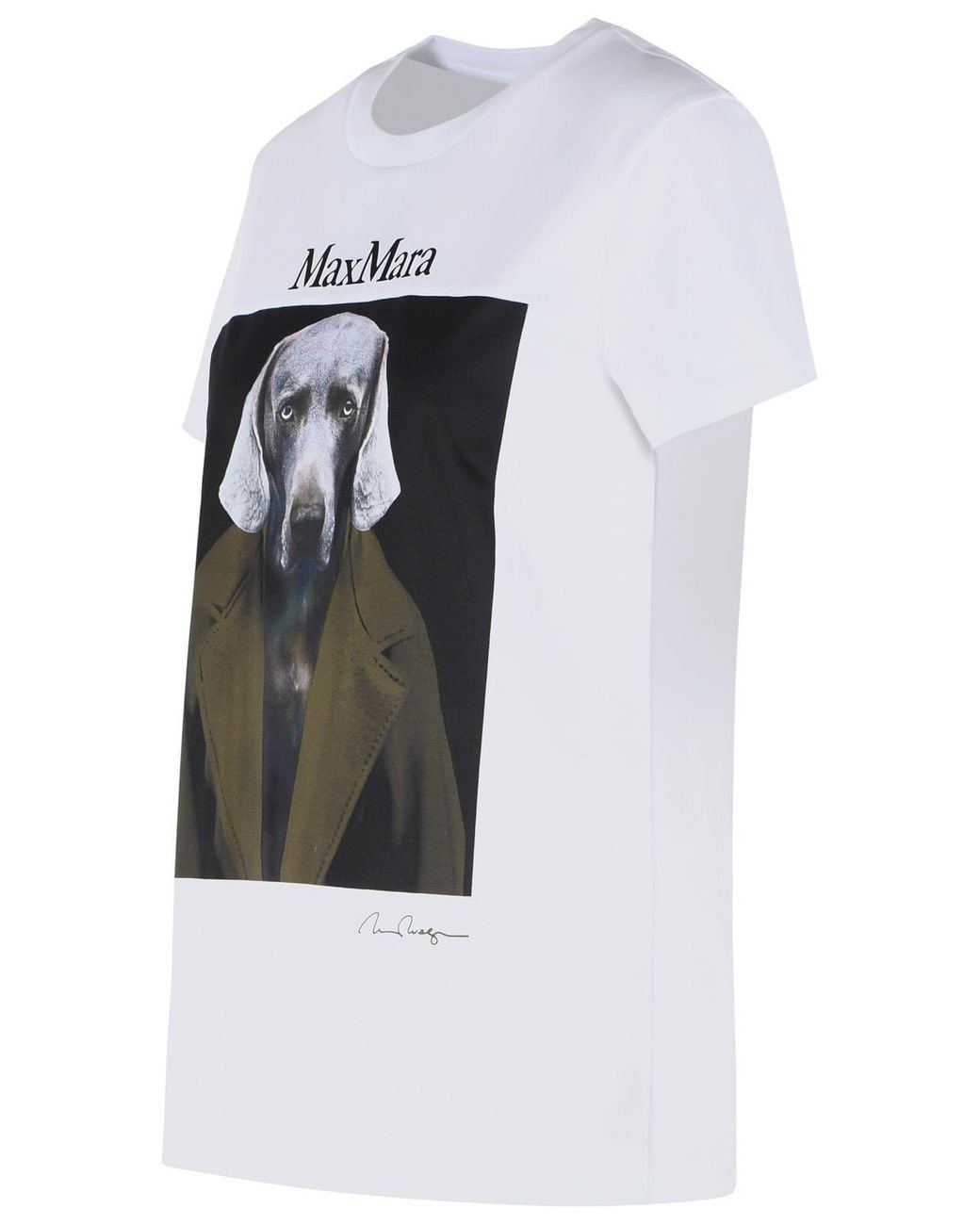 Max Mara Green 'Calca' Cotton Sweater