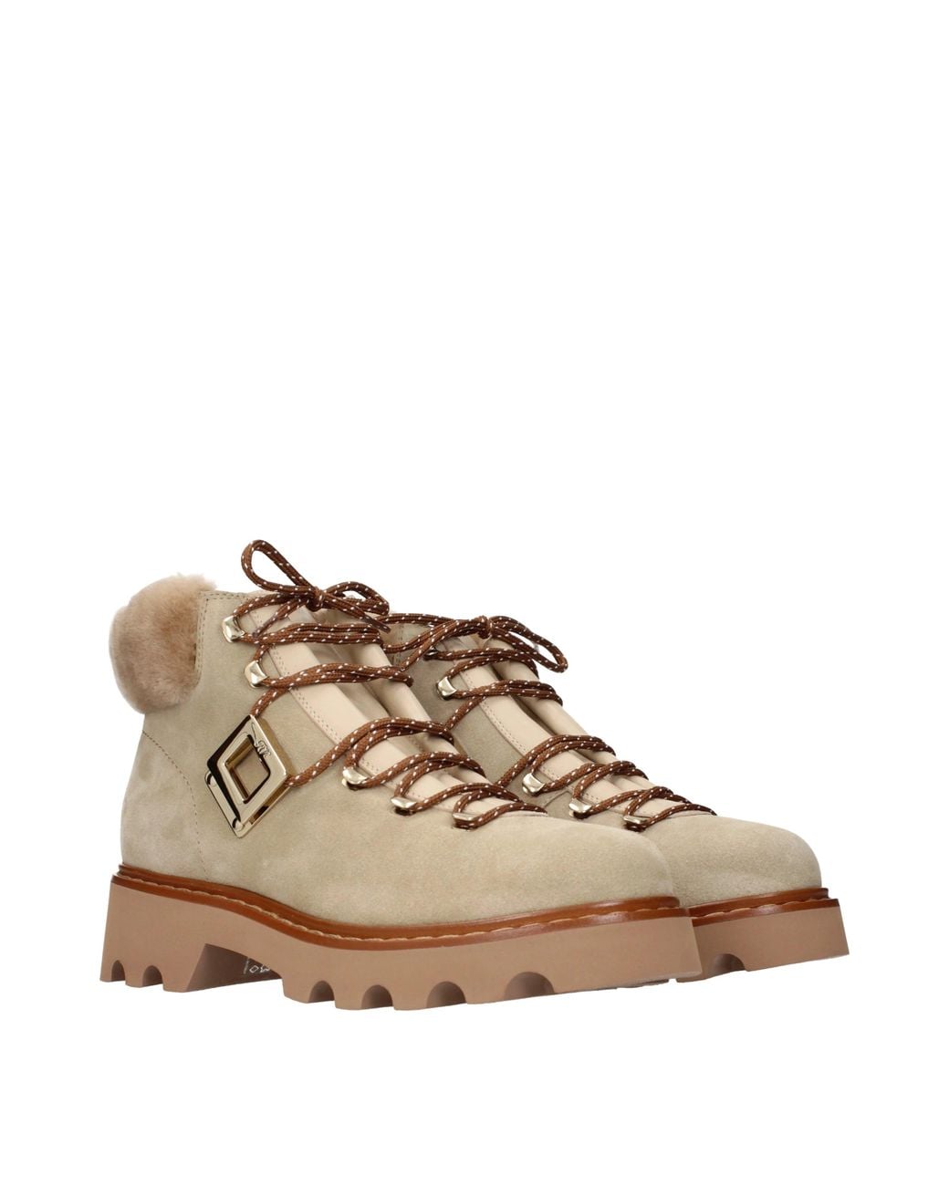 Roger Vivier Brown Boots And Rangers