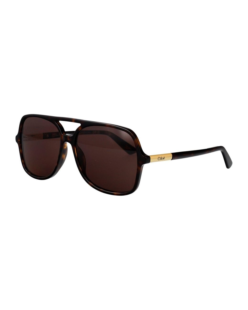 Chloé Brown Havana-Havana- Acetate Sunglasses