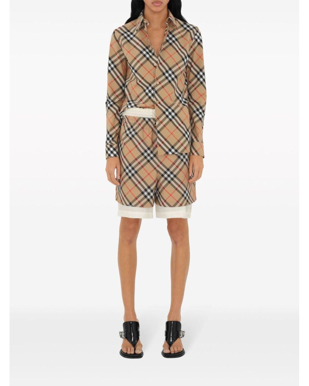 Burberry Brown Shirts