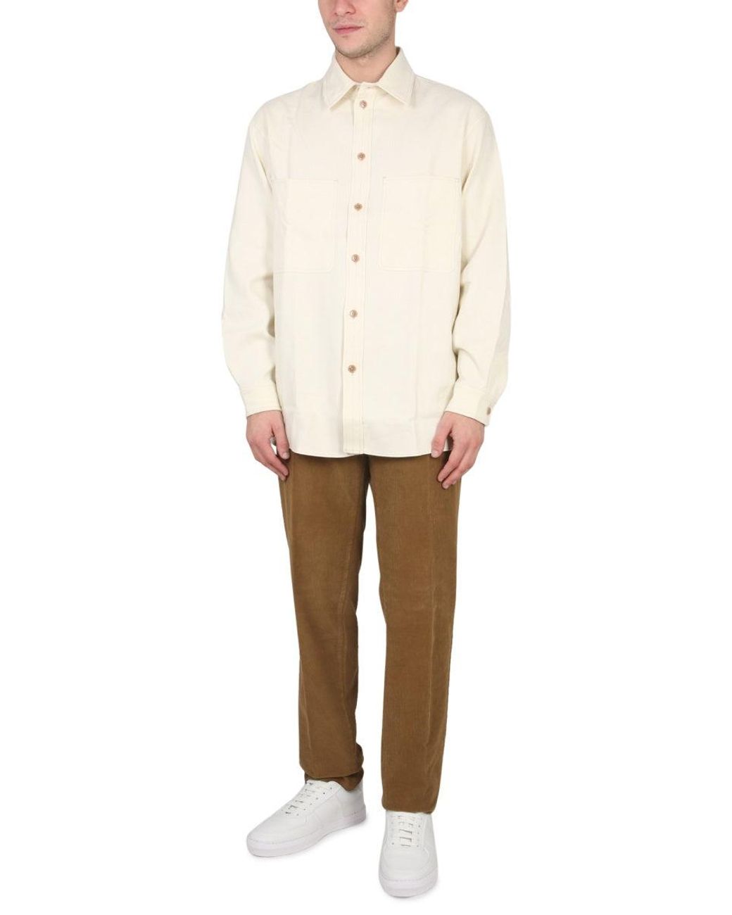 PT Torino Brown Slim Fit Pants for men
