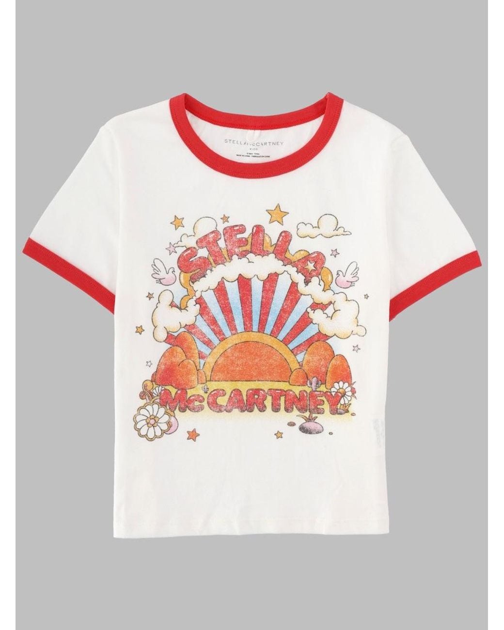 Stella McCartney Gray Kids Graphic T-Shirt