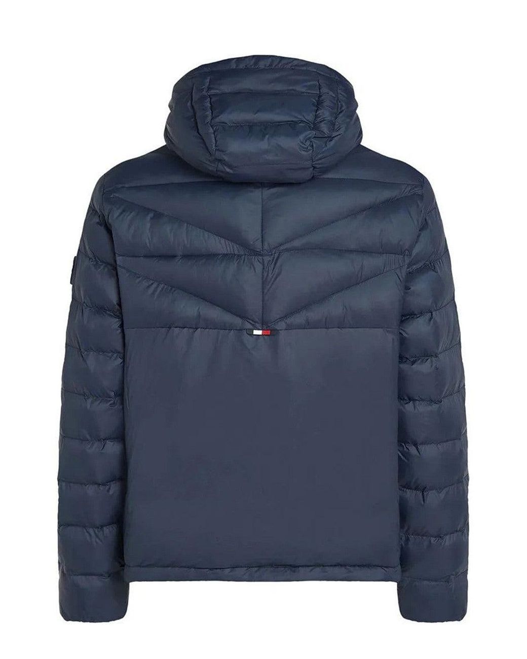 Tommy Hilfiger Blue Jackets