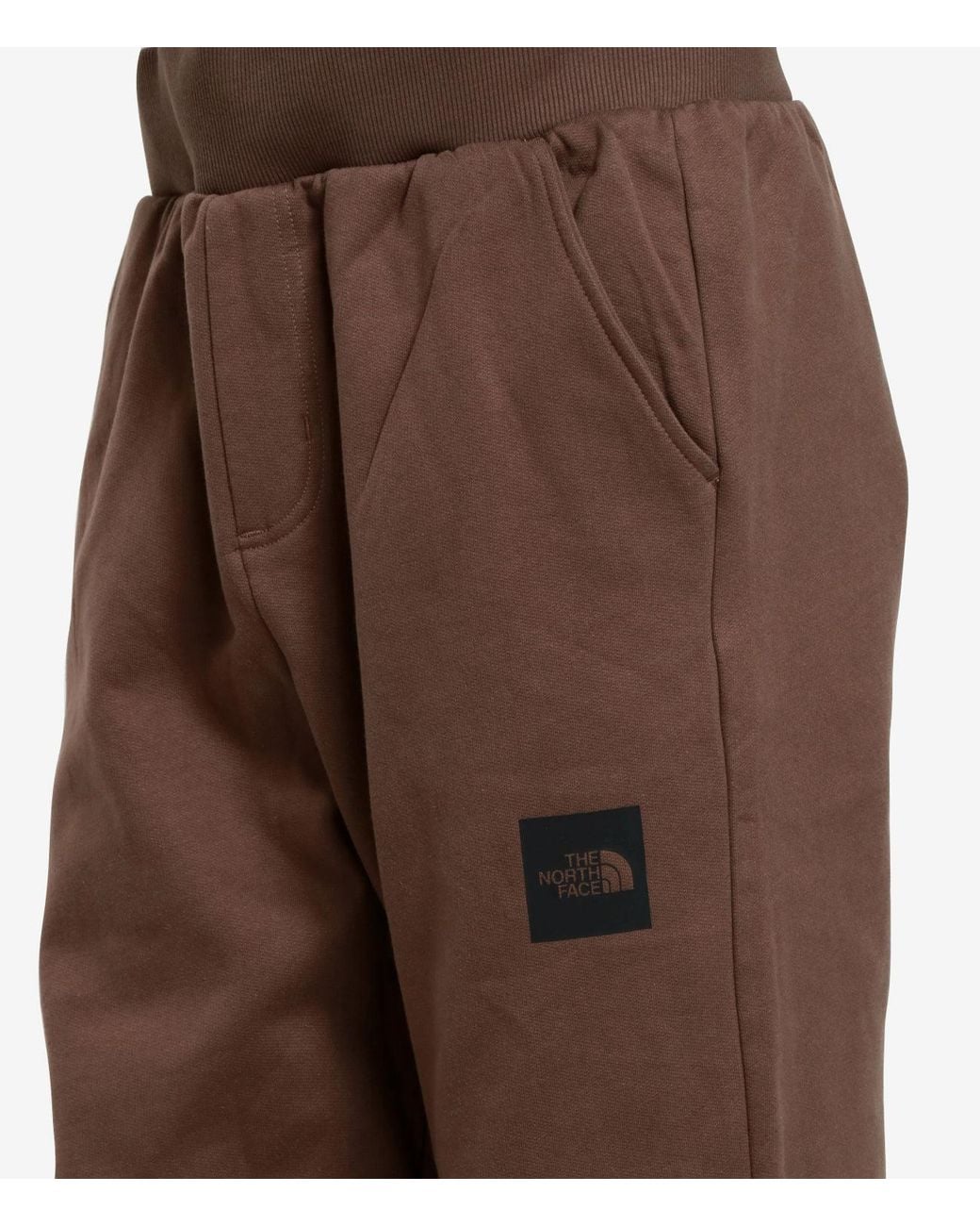 The North Face Brown Trousers for men