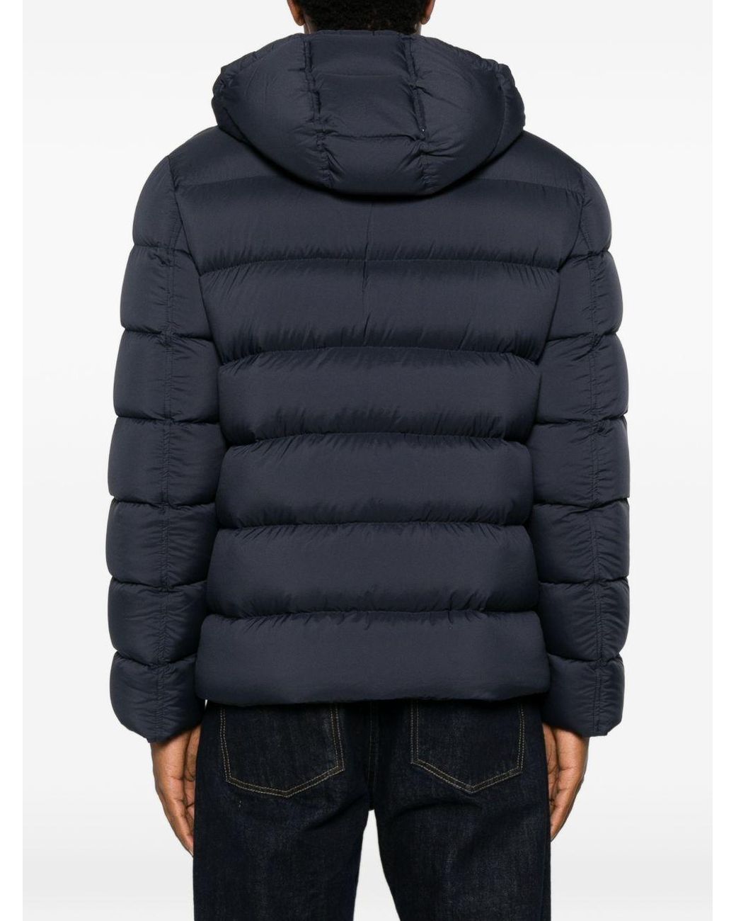 Herno Blue Coats