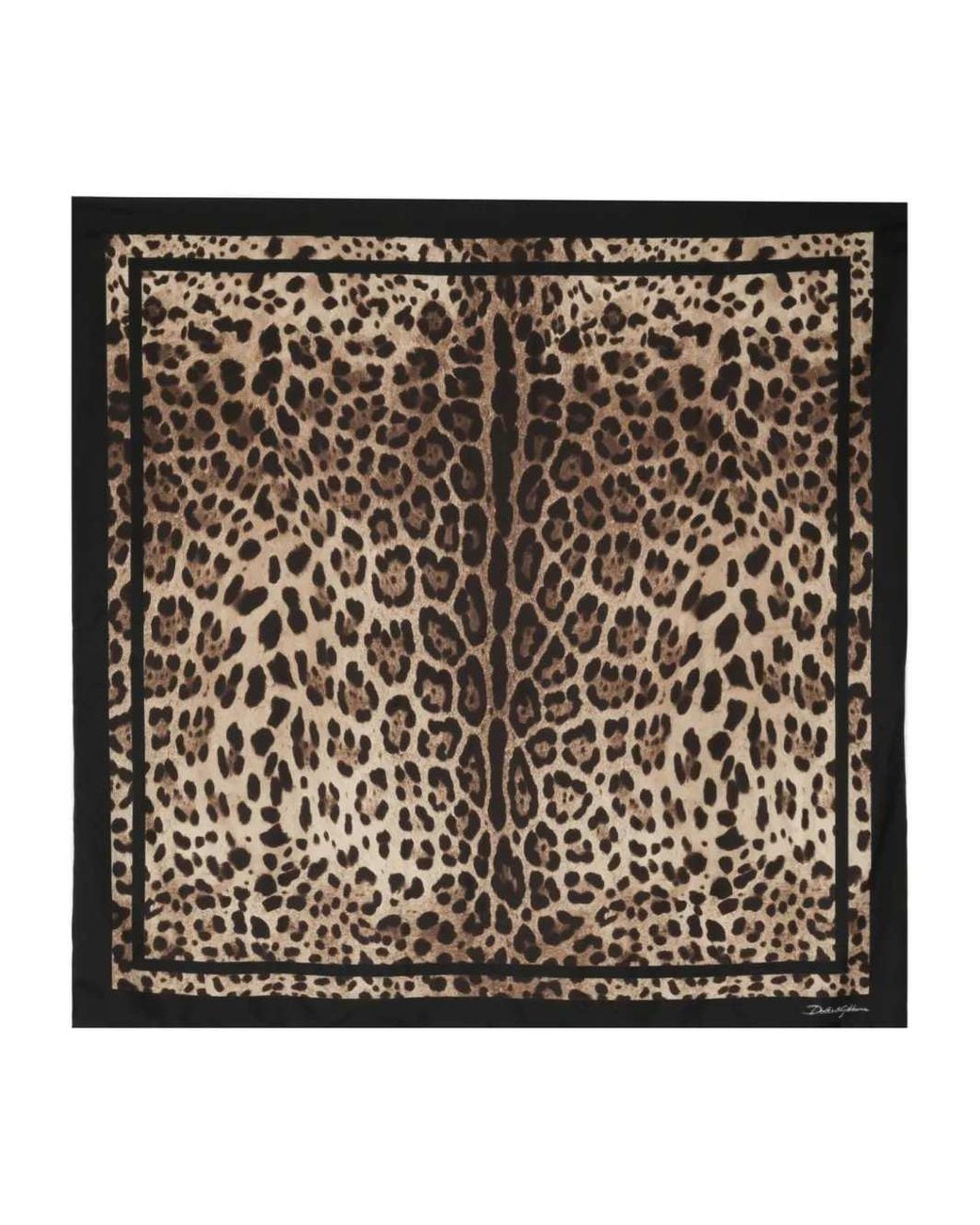 Dolce & Gabbana Black Leopard Print Scarf
