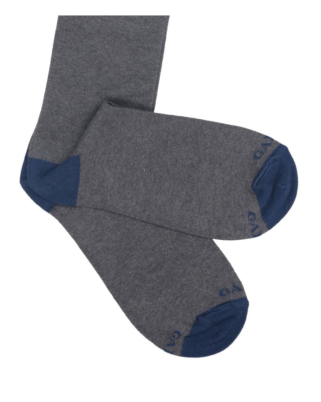 Gallo Blue Underwear