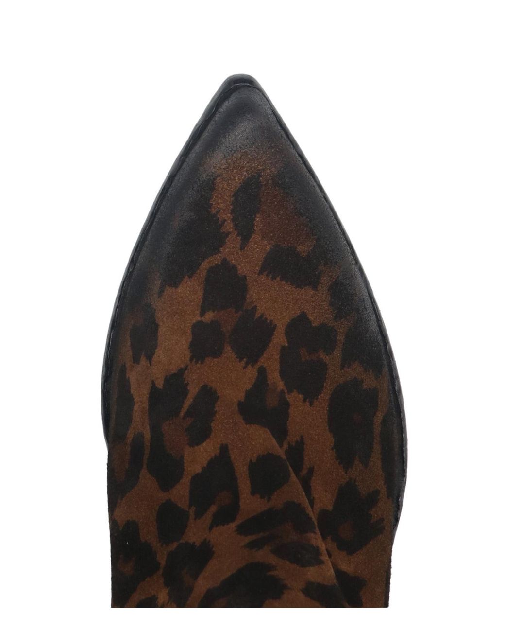 Elena Iachi Brown Boots