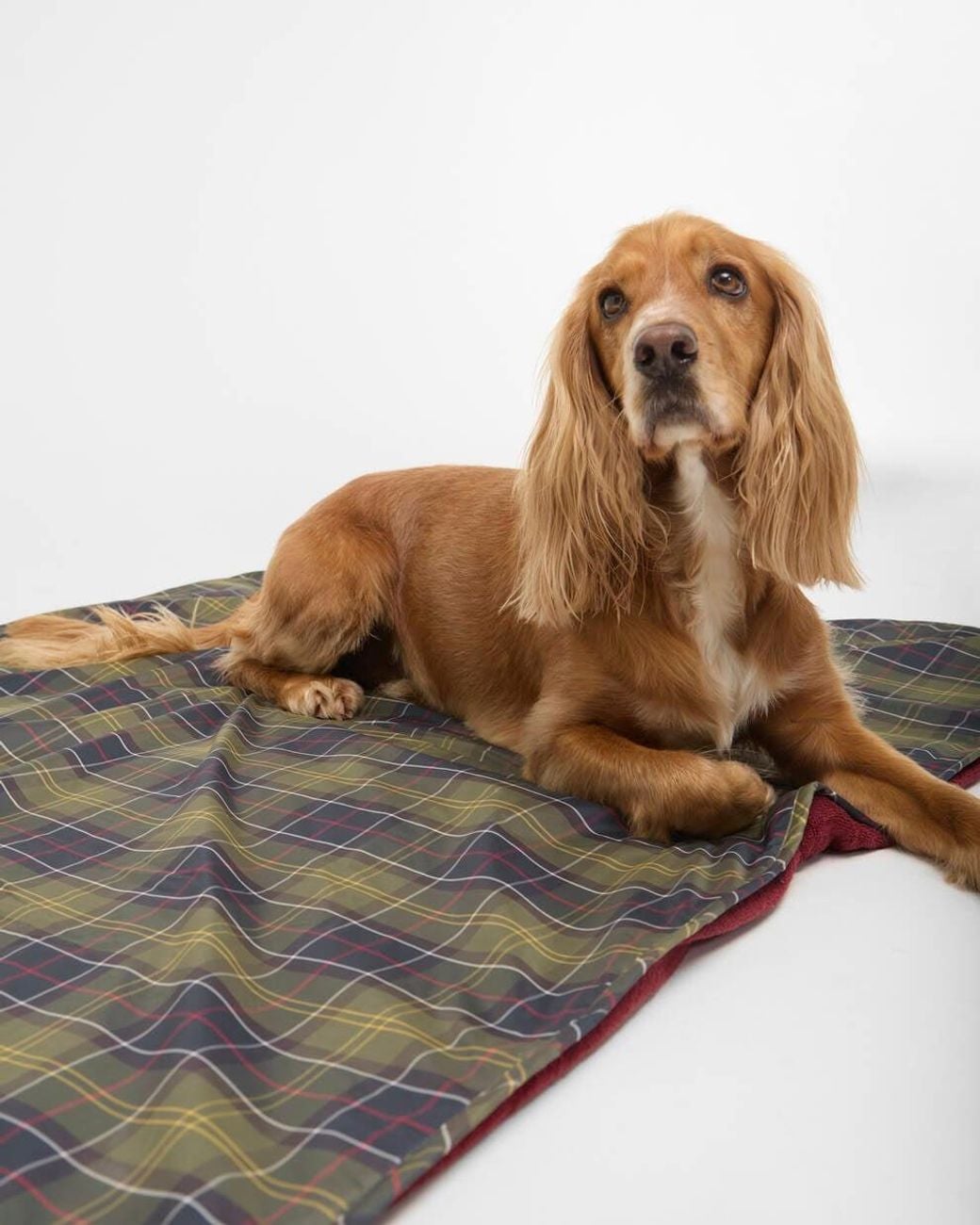 Barbour Anders, Met Een Dikte Van in het Multicolor