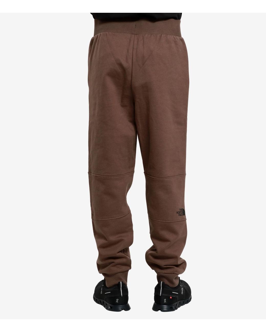 The North Face Brown Trousers for men