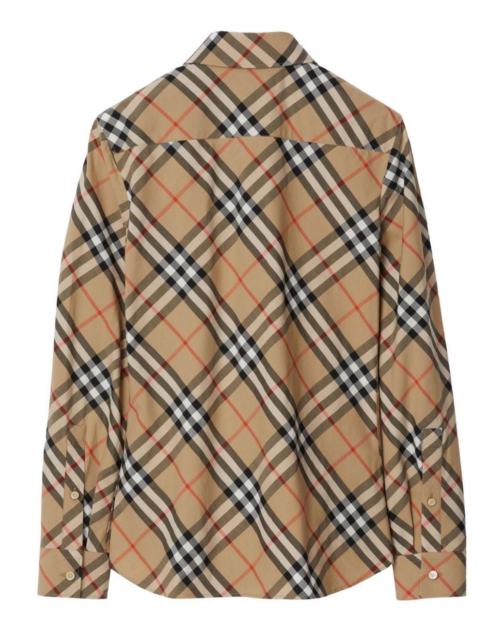 Burberry Brown Shirts