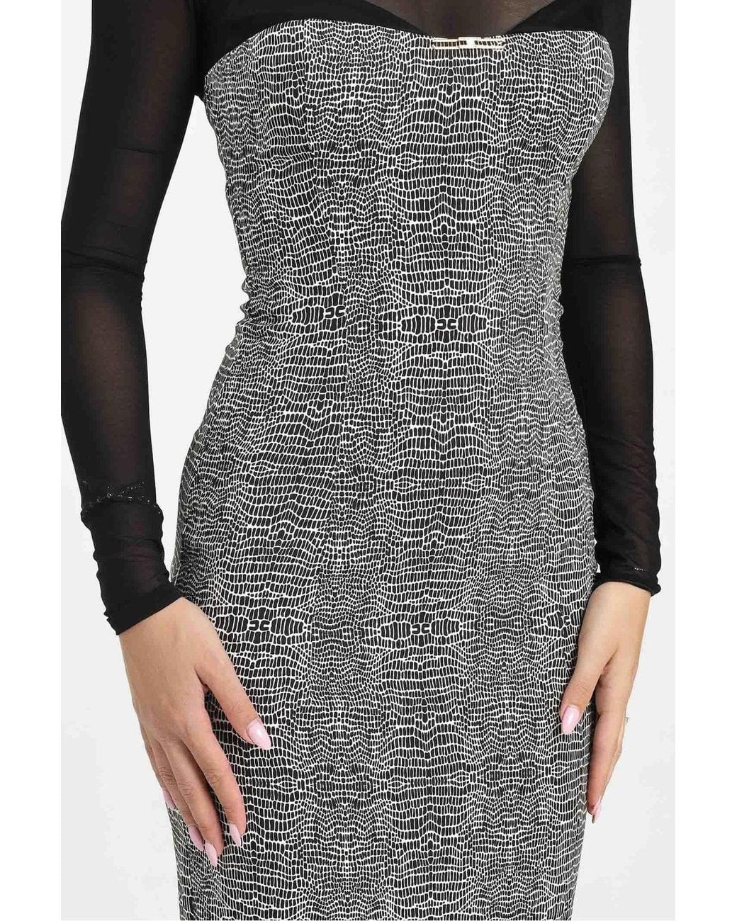Elisabetta Franchi Gray Dress