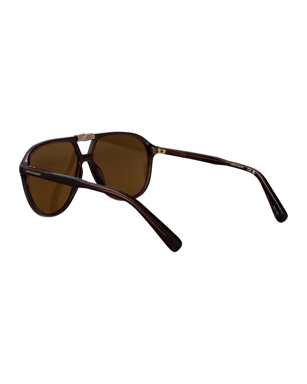 Longchamp Brown Transparent Injected Sunglasses