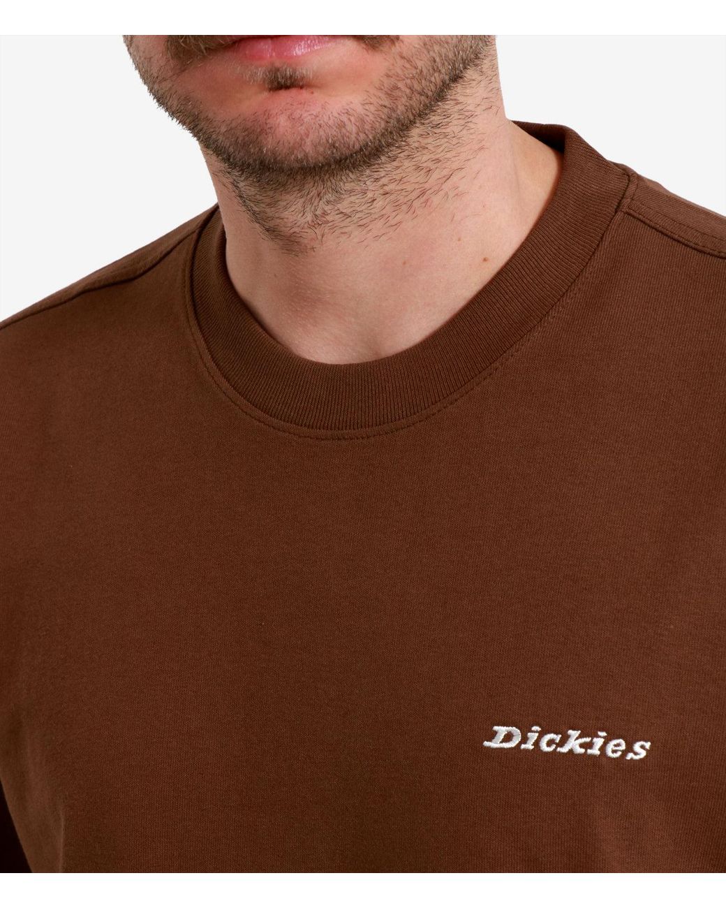 Dickies Brown T Shirts And Polos