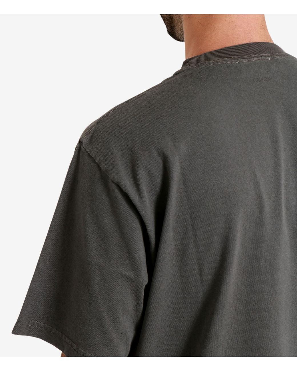 Grifoni Gray T Shirts And Polos