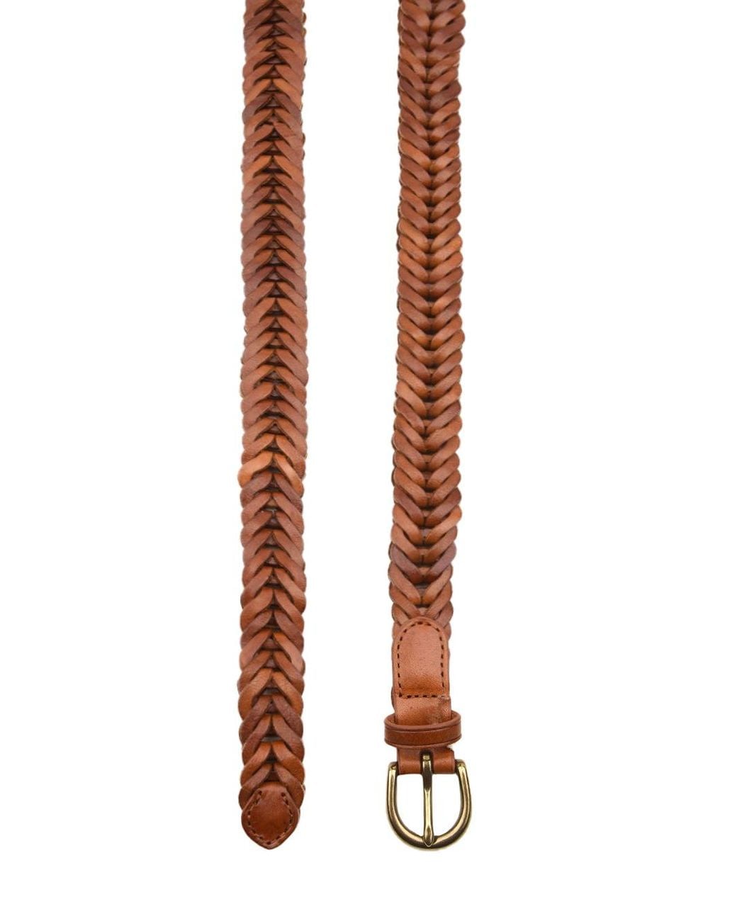 Dragon Diffusion White Belts
