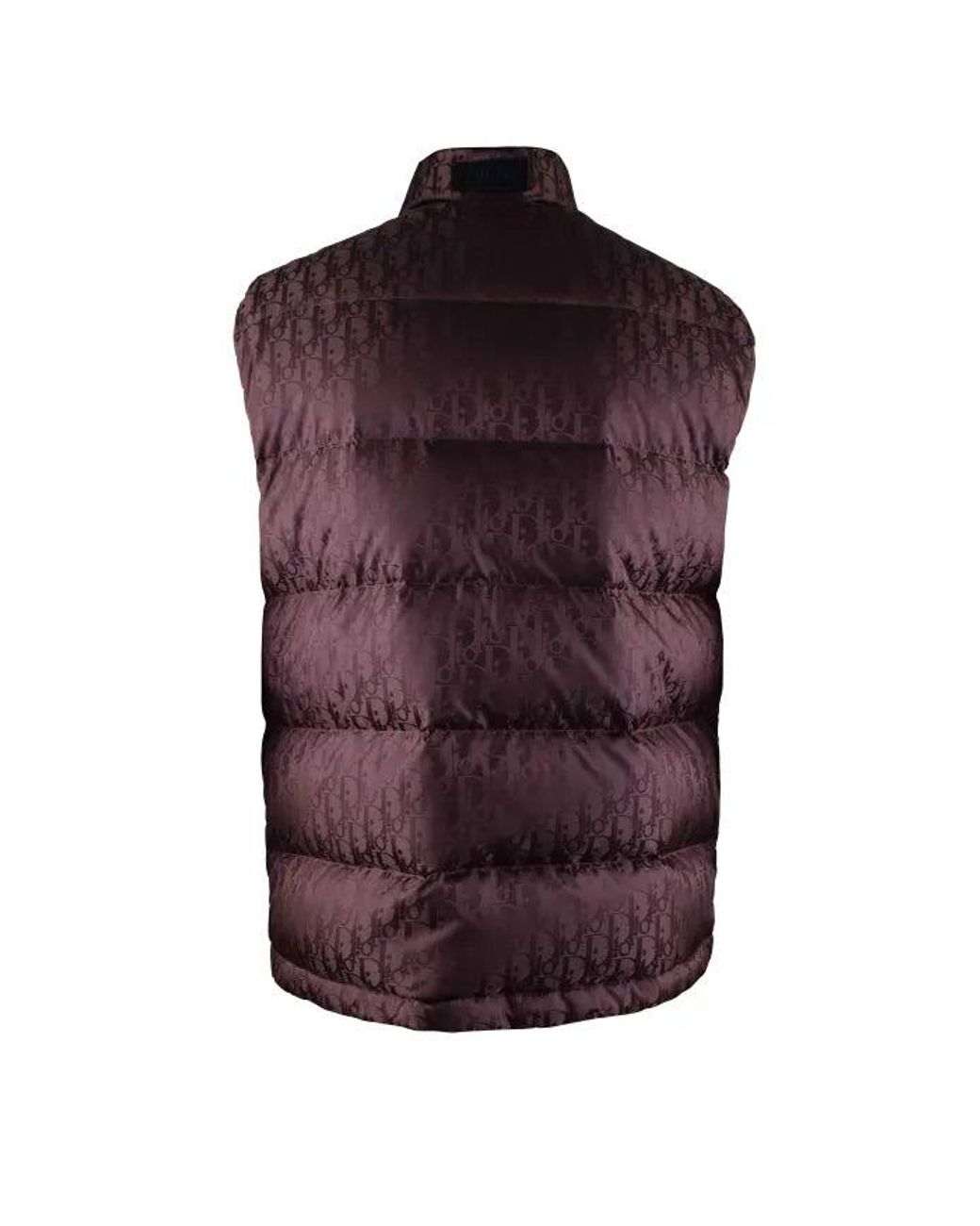 Dior Oblique-donsvest in het Purple